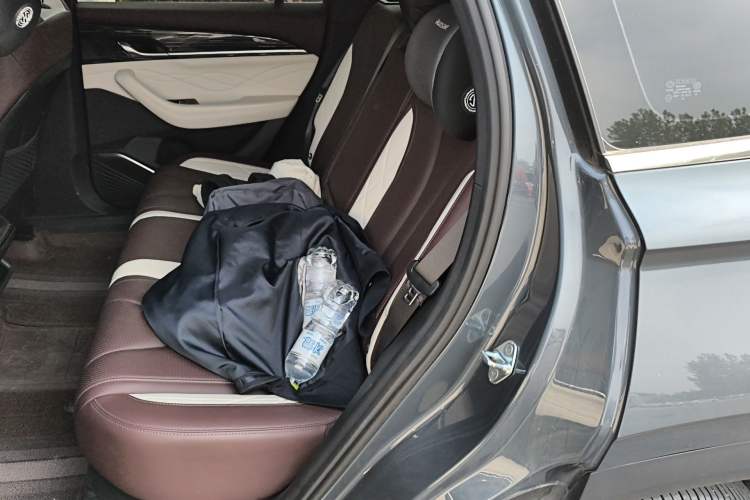 Used Geely Auto Monjaro L 2021 2.0TD DCT EVO Two-Wheel Drive Prestige Version Left Rear Seat