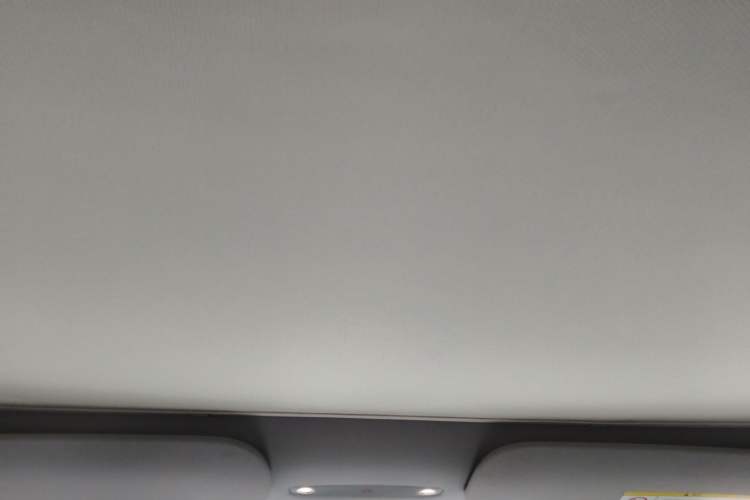 Used Tesla Model 3 2023 Rear-Wheel-Drive Version Headliner