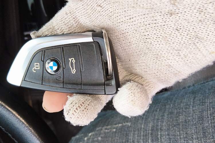 Used BMW X1 New Energy 2019 xDrive25Le Luxury Model