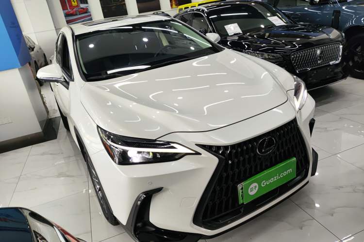 Used Lexus NX New Energy 2023 400h+ Comfort Edition