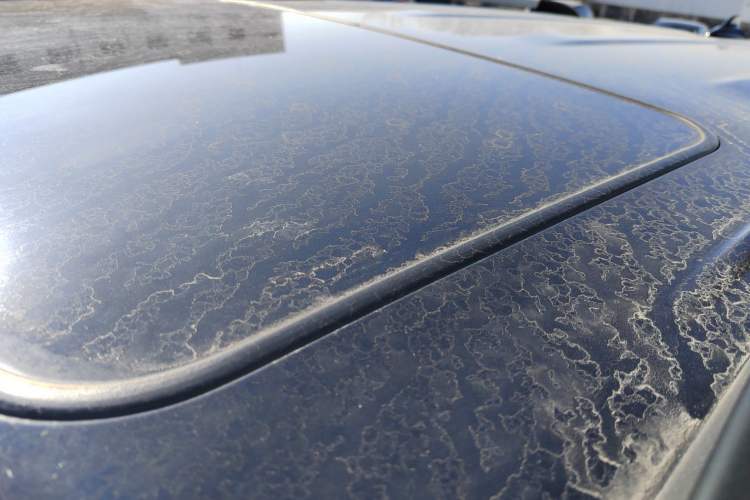 Used Haval H9 2016 2.0T Four-Wheel Drive Luxury 7-Seater
