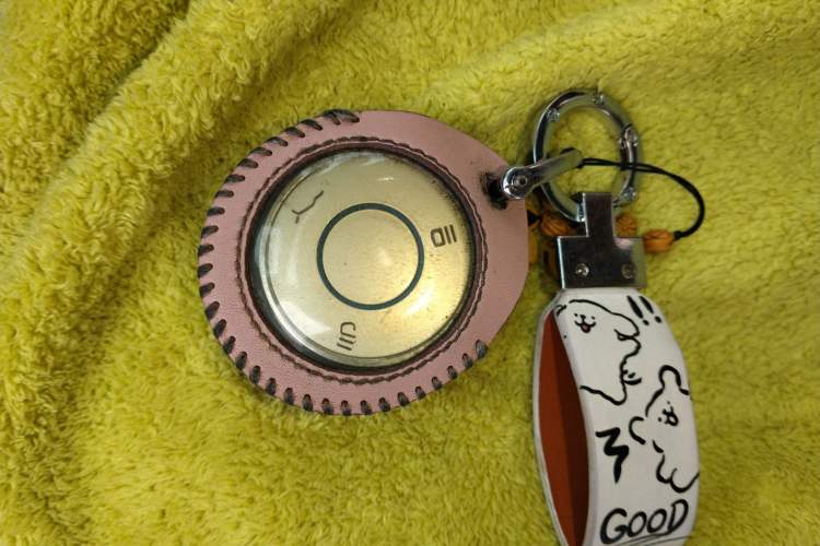 Used NETA V 2021 Standard Range Version
