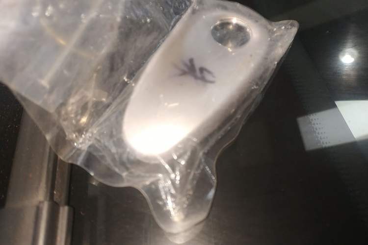 Used VOYAH COURAGE 2024 Four-Wheel Drive Global Edition