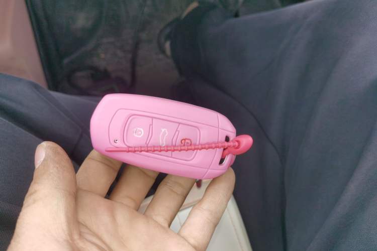 Used Geely Galaxy Panda 2023 Panda Mini 200km Endurance Bear