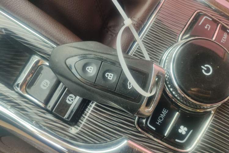 Used Leopaard CS9 2018 1.5T Manual Jingku Model
