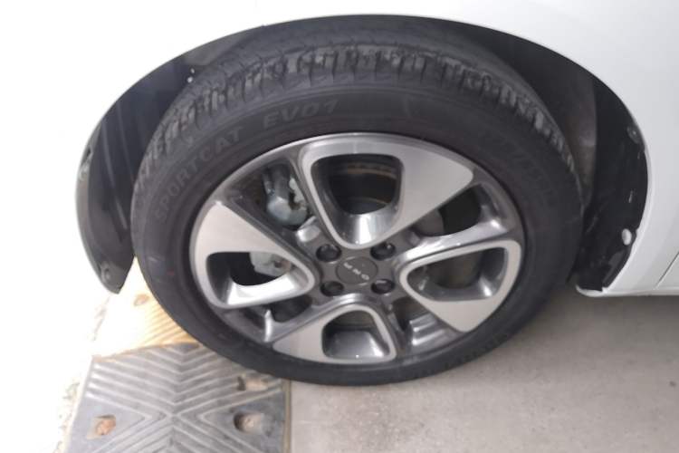 Used ORA White Cat 2020 305 km Luxury Version