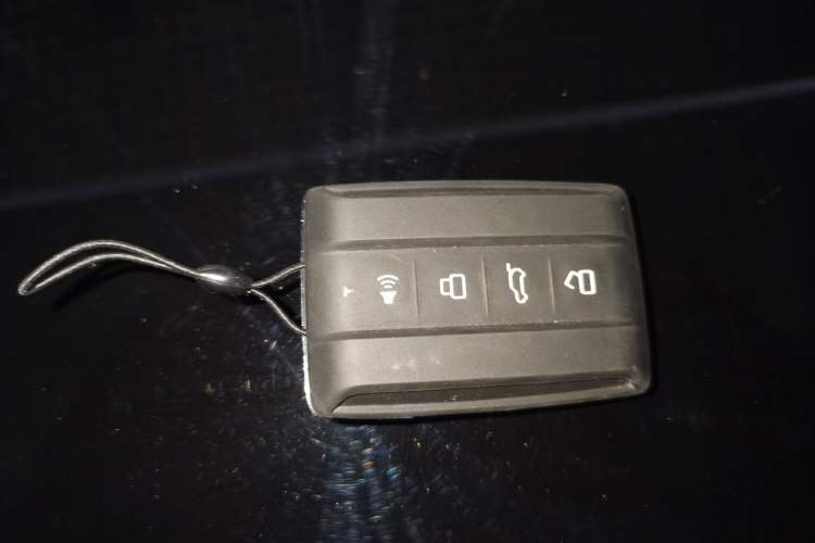 Used Tank 300 2024 2.0T Conqueror