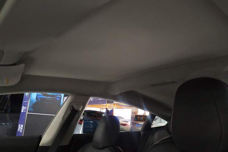 Used Tesla Model 3 2022 Performance High-Performance All-Wheel-Drive Version Headliner