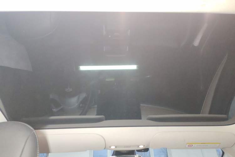 Used Tesla Model 3 2022 Rear-Wheel-Drive Version Headliner