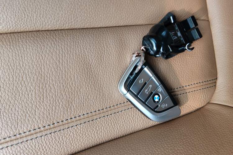 Used BMW 5 Series 2020 530Li Leading Edition Luxury Package