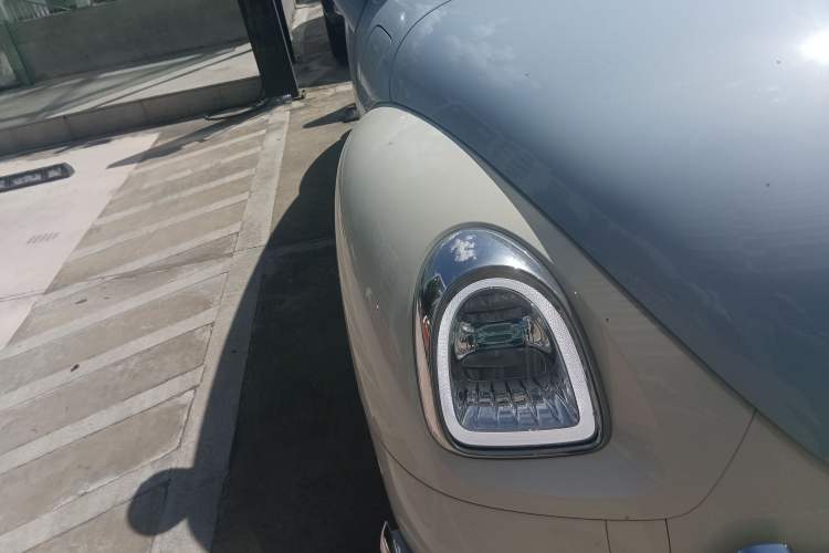 Used ORA Ballet Cat 2022 401 km Nutcracker Edition
