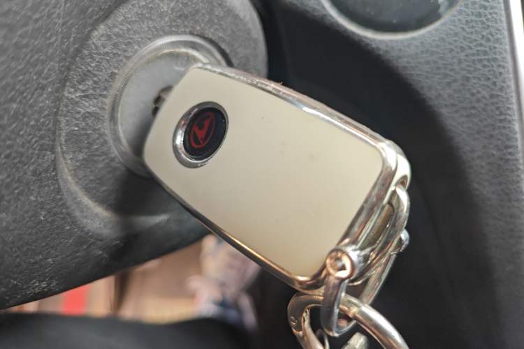 Used Leopaard CS10 2015 2.0T Manual Excellence Edition