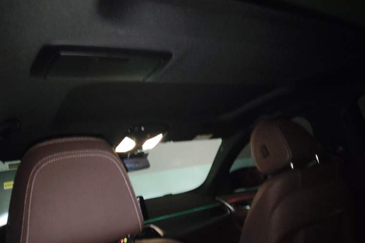 Used BMW 5 Series 2021 530Li Leading Model M Sport Package Headliner