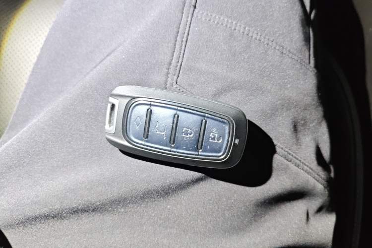 Used Tank 300 2022 2.0T Border Limited Edition Vehicle Key