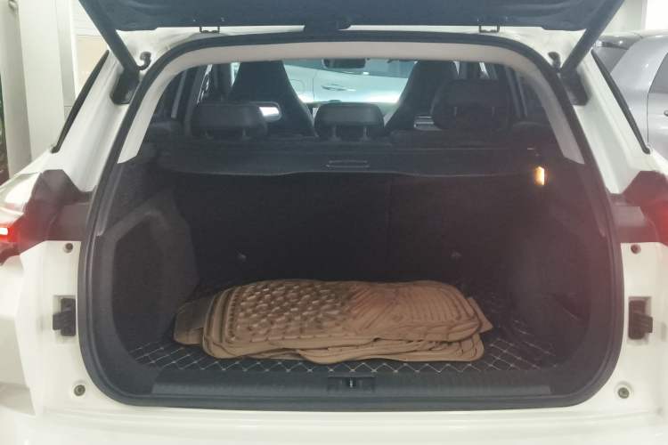 Used NETA U 2022 NETA U-Ⅱ 500 Lithium Iron Phosphate