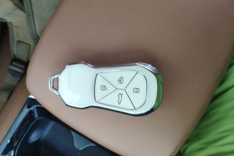 Used XPeng P5 2022 550E Vehicle Key