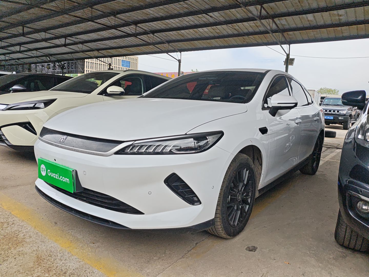 Parte inferior delantera