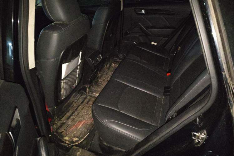 Used Zotye T600 2016 Sport Edition 2.0T DCT Luxury Model Left Rear Seat