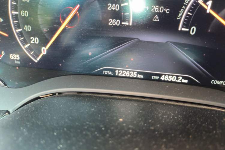 Used BMW 5 Series 2019 Facelifted 530Li Leading Edition Luxury Package Odometer Close Up