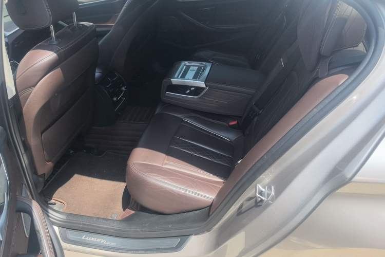 Used BMW 5 Series 2019 530Li Luxury Edition Premium Package
