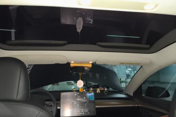 Used Tesla Model 3 2022 Rear-Wheel-Drive Version
