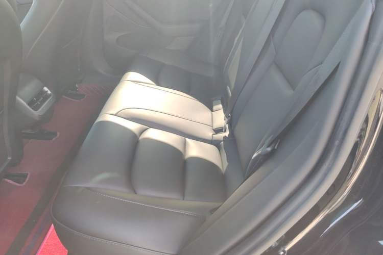 Used Tesla Model 3 2022 Rear-Wheel-Drive Version
