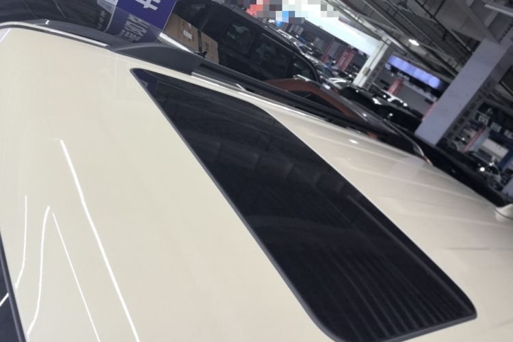 Used Tank 300 2025 2.0T Conqueror