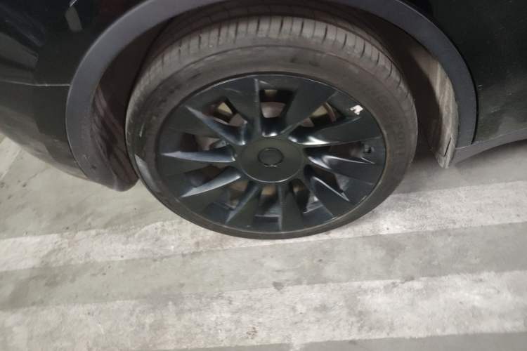 Used Tesla Model Y 2022 Revised Version Long-Range All-Wheel Drive Exterior 5