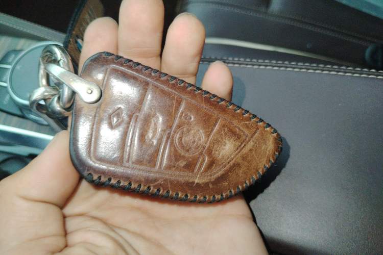 Used BMW 5 Series 2020 530Li Leading Edition Luxury Package