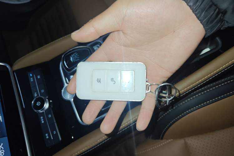 Used BYD Qin New Energy 2018 Qin EV450 Smart Connect Prestige Model