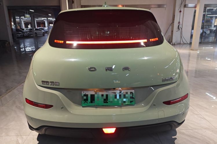 Used ORA Good Cat 2024 501 km Luxury Version Rear