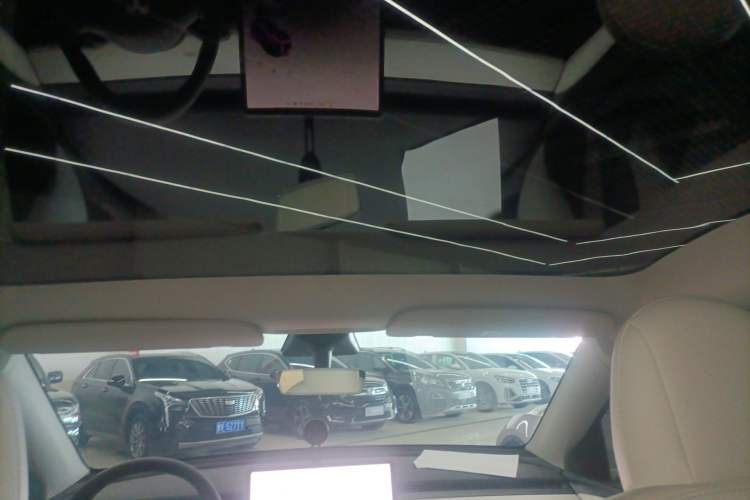 Used Tesla Model Y 2021 Standard Range Rear-Wheel Drive Version Headliner