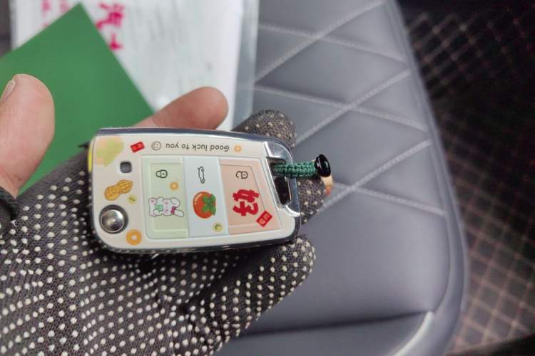 Used Volkswagen Tiguan L 2024 Outstanding Model 300TSI Automatic Two-Wheel Drive Longteng Edition Vehicle Key