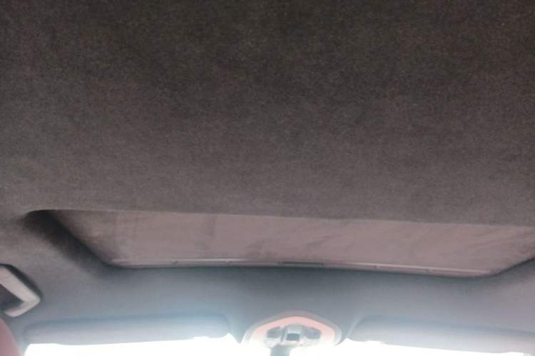 Used Porsche Panamera 2010 Panamera 4 3.6L Headliner