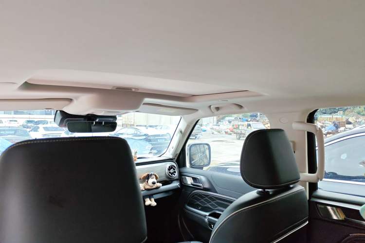 Used Tank 300 2024 2.0T Crosser