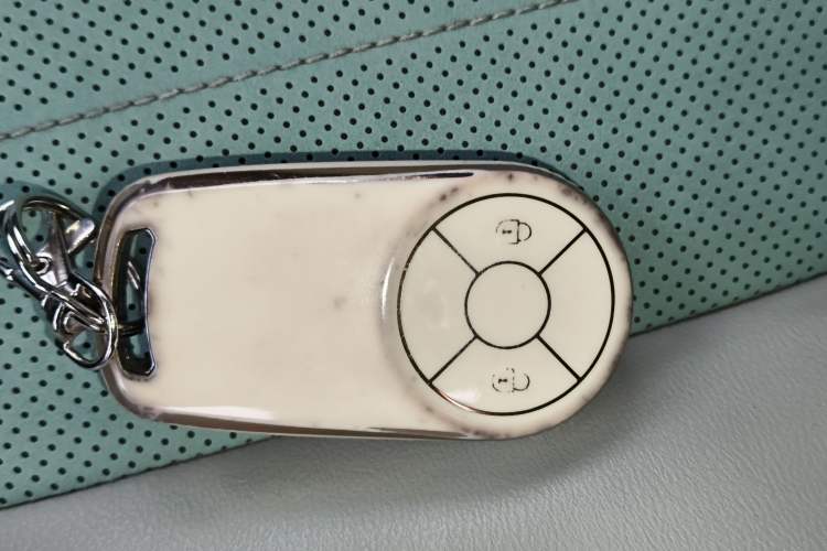 Used ORA Ballet Cat 2022 401 km Nutcracker Edition
