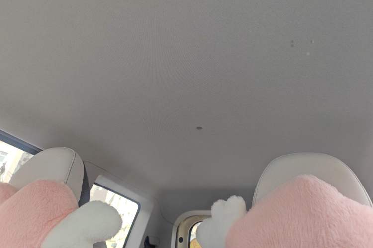 Used Geely Galaxy Panda 2025 210 km – Yuanqi Bear Headliner