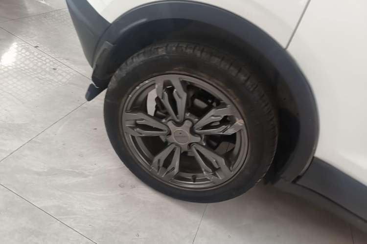 Used Leopaard CS9 2018 1.5T Manual Jingfeng Model
