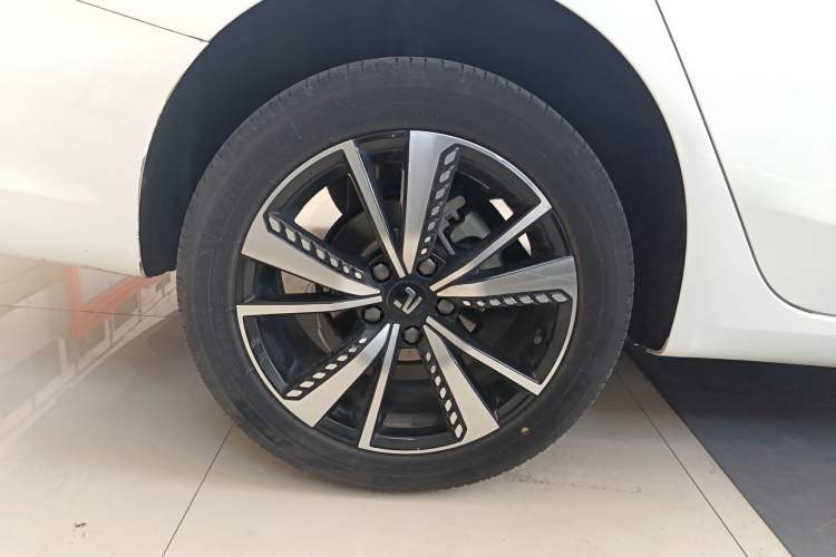 Used Rising ER6 2021 New Dynamic Edition 620km Smart Drive Version