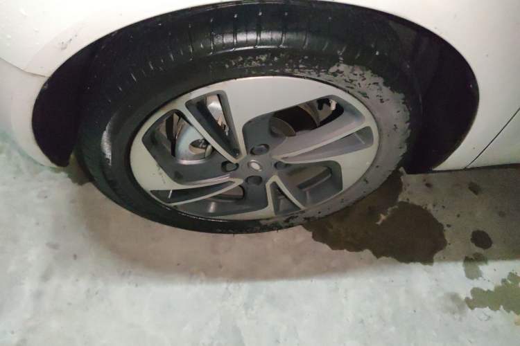 Used ORA Black Cat 2022 351 km Comfort Version Lithium Iron Phosphate Exterior 4