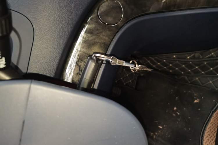 Used FORTHING Lingzhi PLUS 2024 1.5T Manual Luxury 7-Seater
