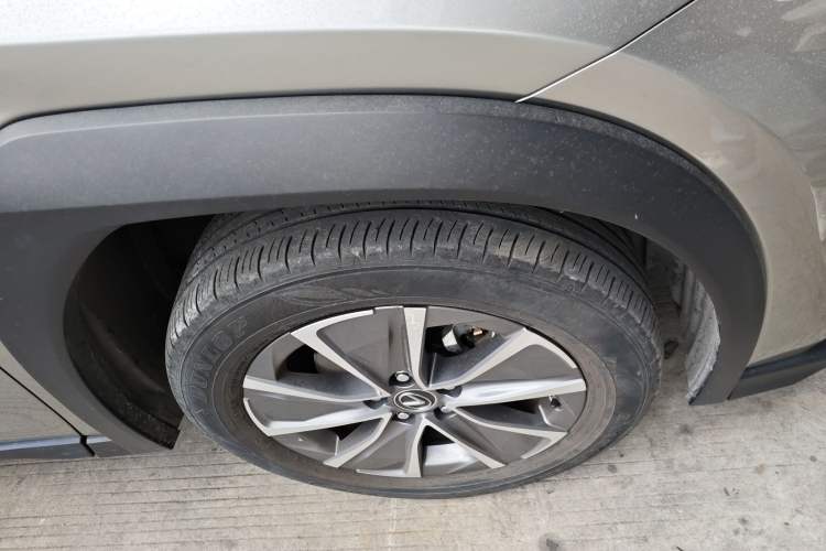 Used Lexus UX New Energy 2020 300e Pure·Joy Edition