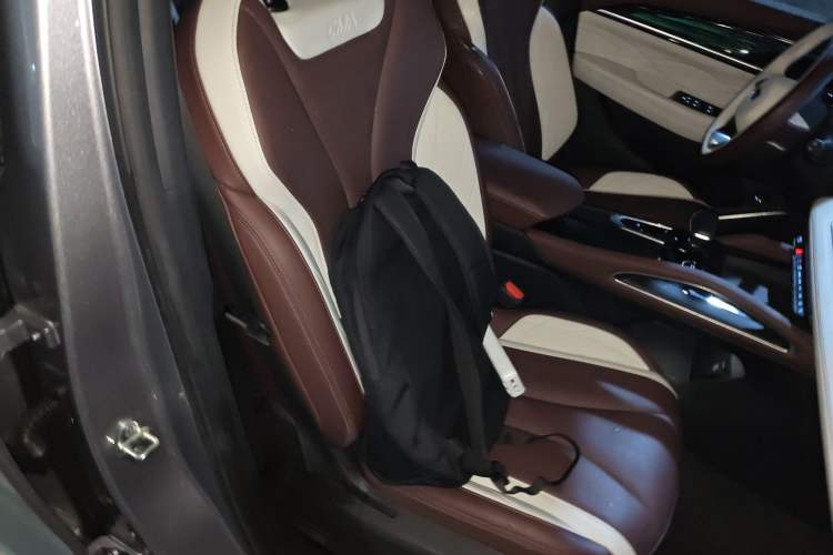 Used Geely Auto Monjaro L 2021 2.0TD DCT EVO Two-Wheel Drive Prestige Version Right Front Seat