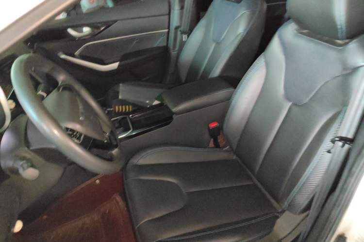 Used Venucia Venucia D60EV 2020 Standard Range Smart Drive Edition
