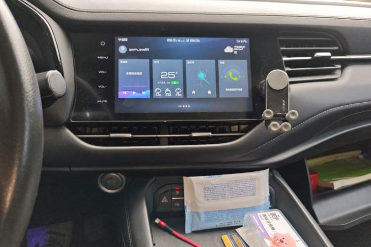 Used Haval F7 2020 2.0T Two-Wheel Drive i-Van