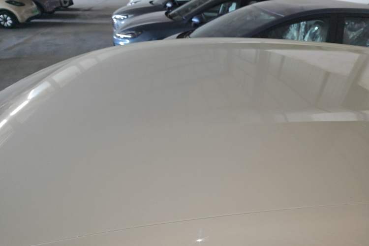 Used BYD Dolphin 2025 420km Free Edition