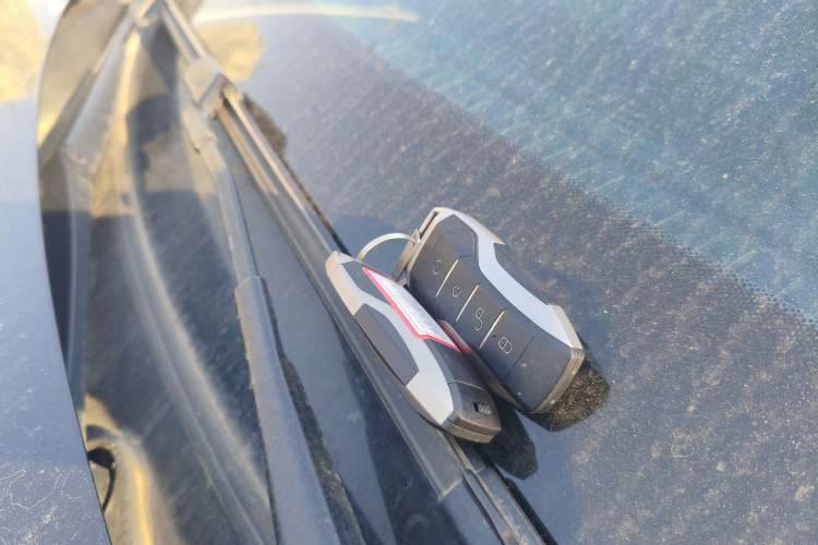 Used BYD Tang New Energy 2021 DM 2.0T Four-Wheel Drive High-Performance Luxury Model