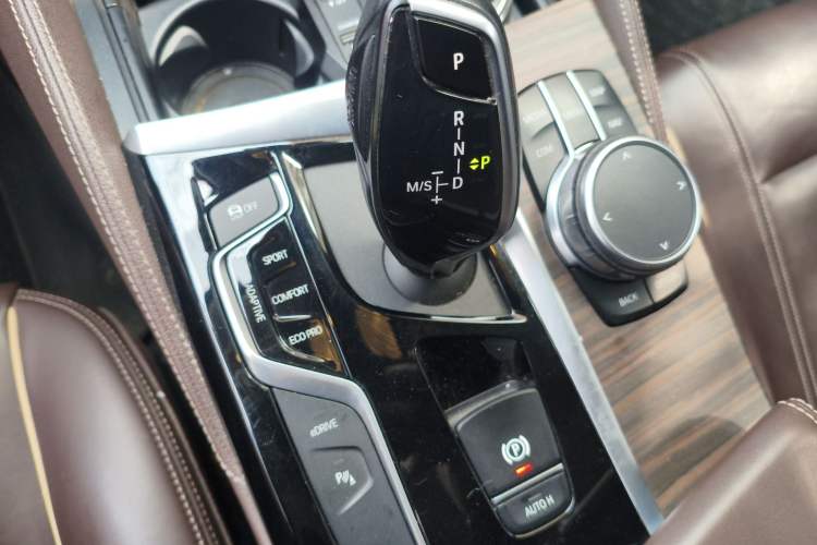 Used BMW 5 Series New Energy 2019 530Le Luxury Package
