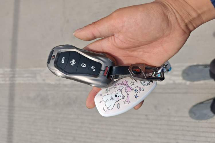 Used Hongqi H5 2025 1.5T DCT Qiyun 500 000th Unit Commemorative Edition Vehicle Key