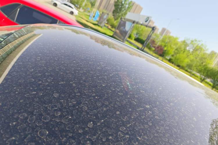 Used BMW X3 2025 xDrive25L Luxury Package
